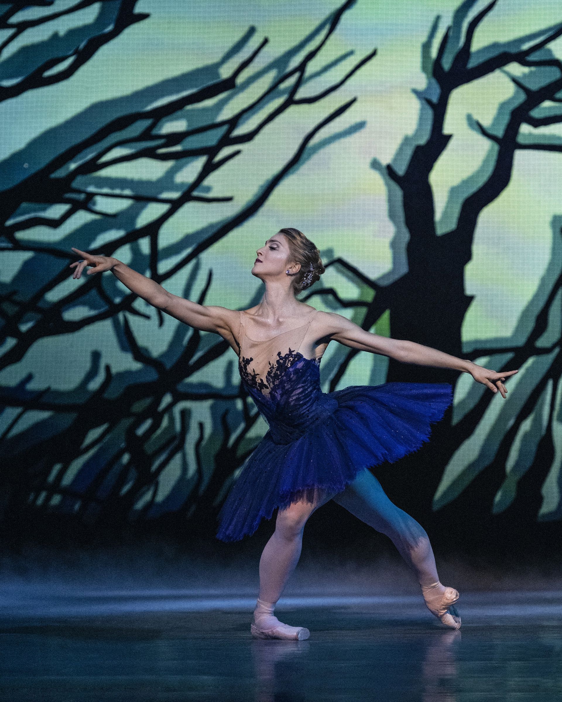 En balletdanser i mørkeblå tutu danser på en scene foran en projiceret skov med sorte trægrene. Kroppen er strakt i en elegant balletpositur med armene ud til siderne og det ene ben løftet bagud. Det blålige lys giver scenen et eventyrligt og dramatisk udtryk.