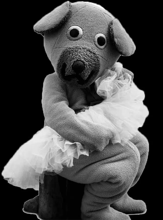 Søren Hauch-Fausbøll