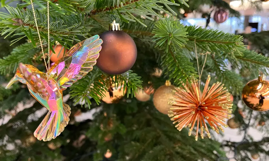 Det Kongelige Operakor synger julen ind